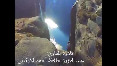 تلاوة للقارئ : عبد العزيز حافظ أحمد الأركاني