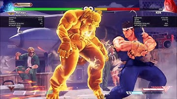 RYU Max Damage Meterless Stun Reset