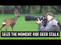 Seize the moment: ROE DEER STALK | Wildlife Photography Vlog