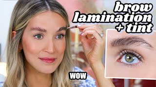 BROW LAMINATION & TINT AT HOME TO FIX MY FLUFFY SILLY BROWS | leighannsays