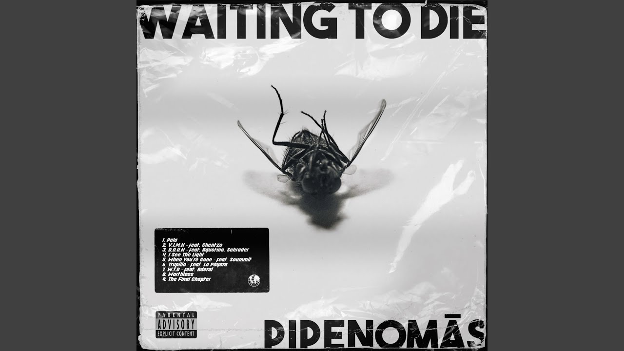 Watch W.T.D on YouTube Watch W.T.D on YouTube