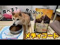食いつきや如何に？初めてのドッグフード 　メディコートレビュー