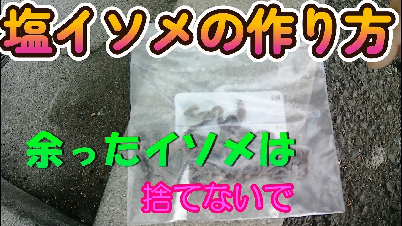 塩 イソメ 作り方