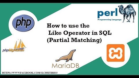 How to use the  Like Operator in SQL (Partial Matching)