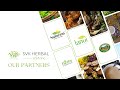 SVK Herbal: Bridging Tradition and Innovation for Global Wellness