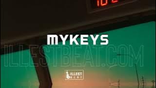 Afrobeat Type Beat 2025 | For Afrobeat Artists & Music Lovers | Prod. by IllestBeat x Makkeys