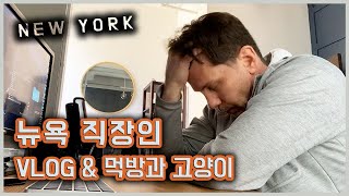 뉴욕 직장인 VLOG & 먹방과 고양이. New York Office Worker Video