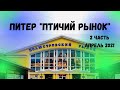 Птичий рынок Санкт-Петербург , аквариумный дворик , Полюстровский рынок.Апрель 2021 года( 2-я часть)