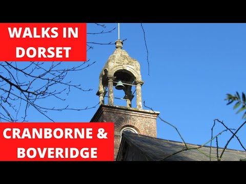 WALKS IN DORSET at CRANBORNE & BOVERIDGE