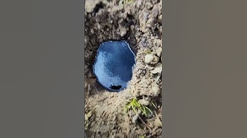 Thumbnail of found oil! #memes #funny #america #oil #nature #shorts #fyp #trending #viral