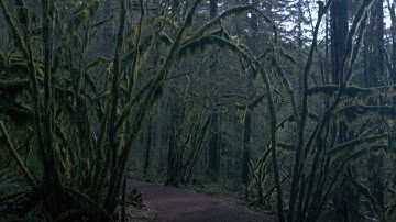 Isabelle Bryan - Another Planet (Official Music Video)