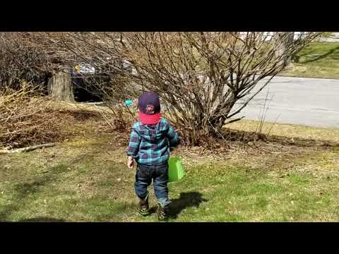 colby coombs survival story colby coombs survival story