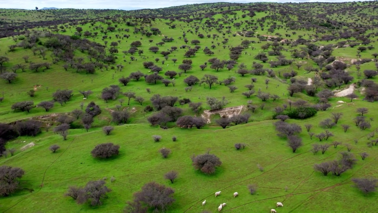 Beyond the Capital: Rediscovering Chile's Central Zone