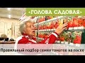 Голова садовая - Правильный подбор семян томатов на посев