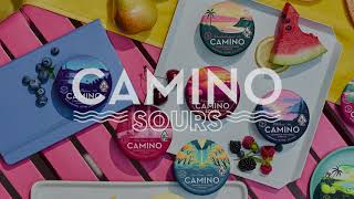 Pucker Up with Camino Sours