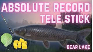 I got the Absolute Record!! - Telestick Black Carp - Russian Fishing 4 Bear Lake!