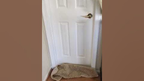 Termite Swarm Part 1