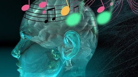 This is Your Brain on Music