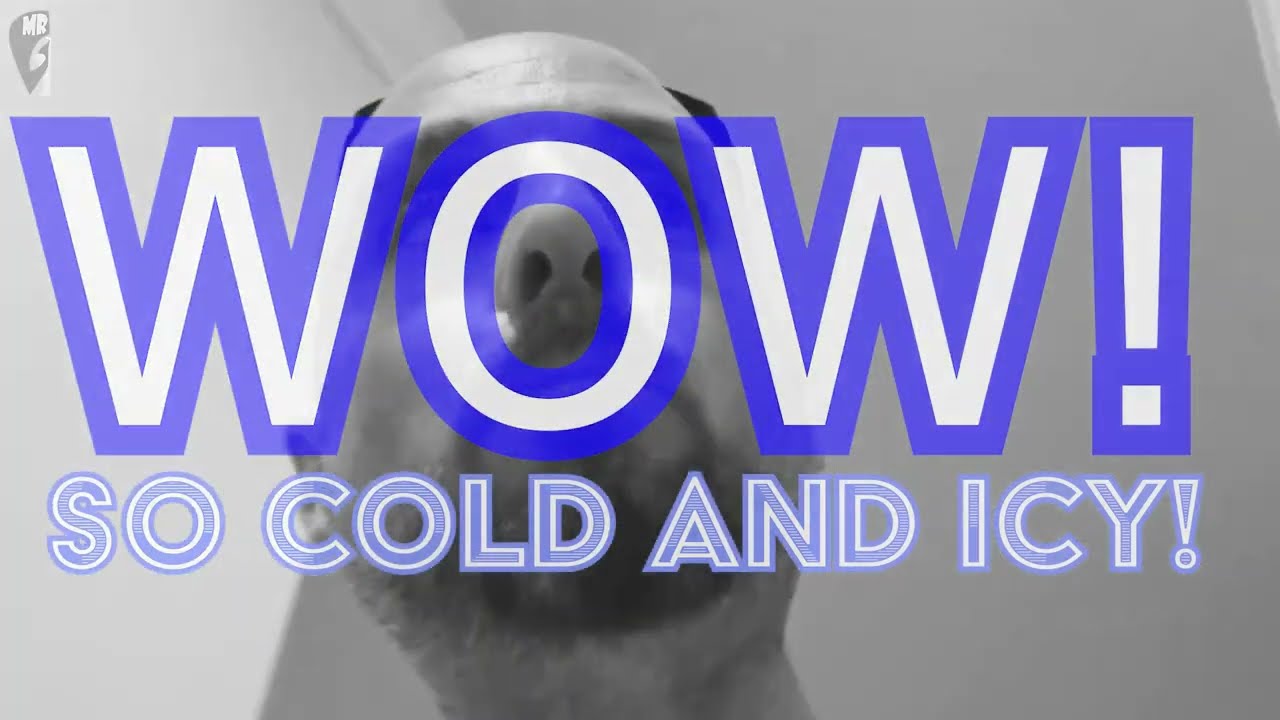 ICE SPHERES by LG  REFRIGERATOR is AMAZING LIFE CHANGING DAILY