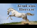 "Білий кінь Шептало" скорочено аудіокнига. Володимир Дрозд.