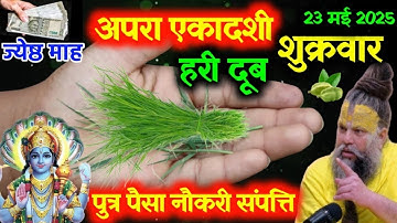 23 मई शुक्रवार अपरा एकादशी, दूर्वा का उपाय बदलेगा किस्मत,माताएं बहनें चूकना मत || Pardeep Ji Mishra