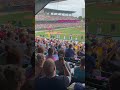 Donut Chant at Savannah Bananas Game #shorts #baseball #bananaball