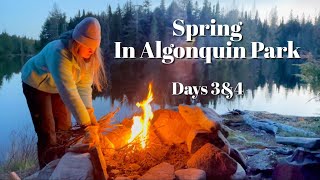 Spring in Algonquin Park, A Four Day Canoe Camping Trip, Moose Sighting and How to do a Bear Hang