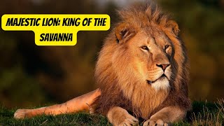 The Mighty Lion | King of the African Savanna #lion #animals #wildlife by Animal Facts Hub 3,423 views 1 month ago 2 minutes, 56 seconds