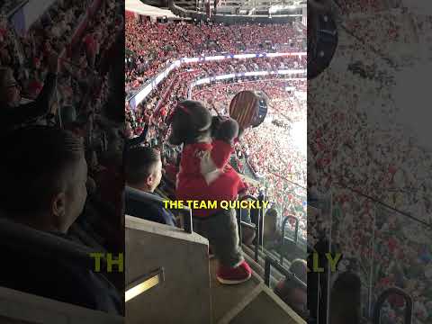 Why Do Fans Throw RATS on the Ice?!