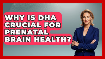 Why Is DHA Crucial For Prenatal Brain Health? - Brain Development Hub