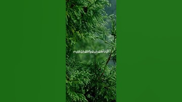 سورة قريش بصوت خاشع | تلاوة مؤثرة