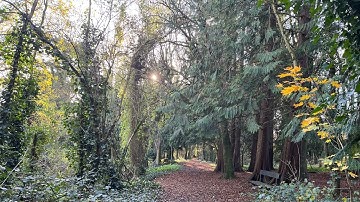 Fireside Chat with Eimear 189