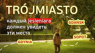 видео: Где найти осень в Гданьске, Сопоте и Гдыни — самые атмосферные локации картинка: Где найти осень в Гданьске, Сопоте и Гдыни — самые атмосферные локации