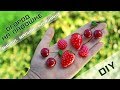 Вишня, клубника, малина🍒 Полимерная глина 🍓 DIY🍒 Ягоды для игры