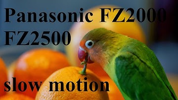 Panasonic FZ2000 / FZ2500 slow motion test