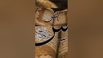 سورة يس | #quran #اكسبلور #آيات #القرآن_الكريم #قرآن #تلاوة_خاشعة #explore #fyp