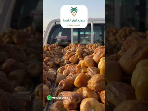 تمر السكري الملكي انتاج مصنع ثمار النخبة بريدة القصيم