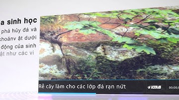 Bài 9 Địa 10 :Tác động ngoại lực đến bề mặt của trái đất