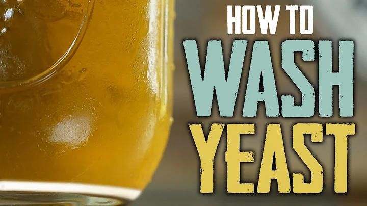 How To Harvest and Wash Yeast for Homebrewing - DayDayNews