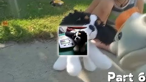 SPCDetroitPontiac1149