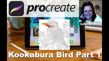 Procreate Coloring Tutorial Kookaburra Bird Zentangle On Ipad Part 1  Lisa Brando Extreme Coloring