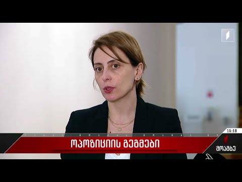 ოპოზიციის გეგმები