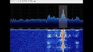 Direct sampling vs upconverter vs SDRPlay on shortwave broadcast stations - 16 mins
