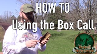 How to use the Box Call | Turkey Calling for Beginners