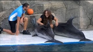 Girl falls in love with dolphins by Frida 463 views 5 years ago 47 seconds