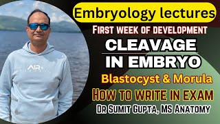 Cleavage of embryo | Formation of blastocyst & Morula |