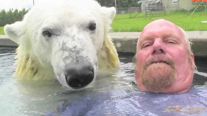 The Only Man In The World Who Can Swim With A Polar Bear: Grizzly Man - DayDayNews