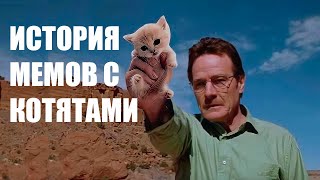 (краткая) История мемов с котятами: с древнейших времен до эпохи шрифта лобстер