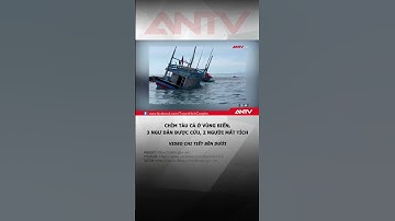 Tàu cá chìm đắm ở vùng biển, 3 ngư dân được cứu nạn, 2 người mất tích #antv #shorts #thoisu