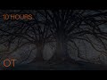 The King and Queen of Sleepy Hollow | Windy Night in the Spooky Wood | Relax | Study | Sleep